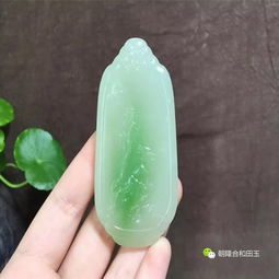 翠青料和青海翠这两种玉料要怎么分辨