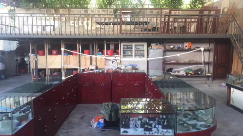 蚂蚁工舍,云南瑞丽翡翠玉雕厂